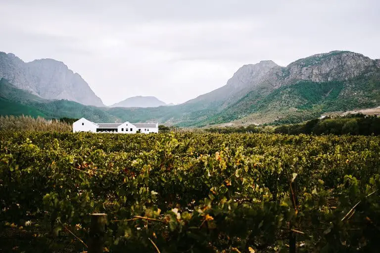 Tasting wines in Holden Manz Country House Franschhoek,  